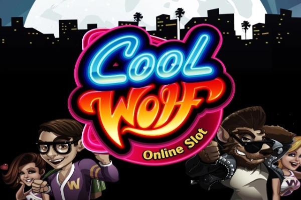 07815 cool wolf