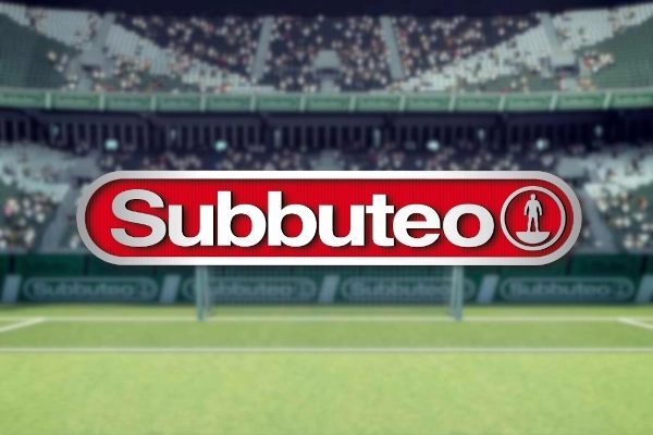 13165 subbuteo
