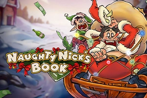 16577 naughty nicks book